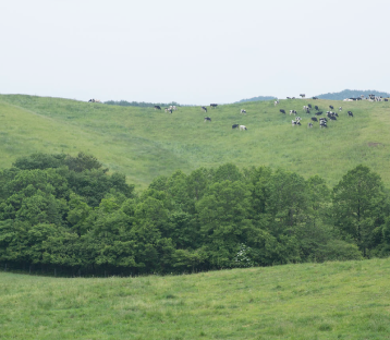 大野の景色