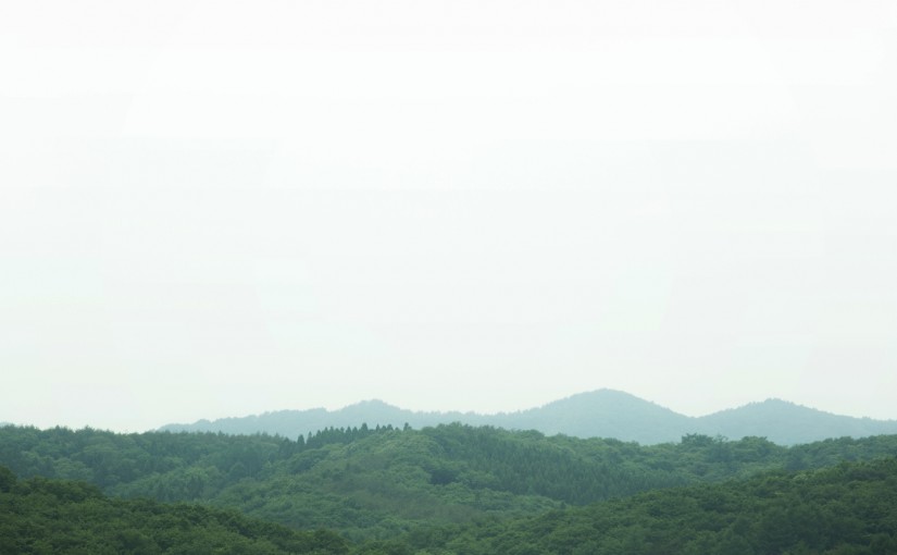 新年あけましておめでとうございます。